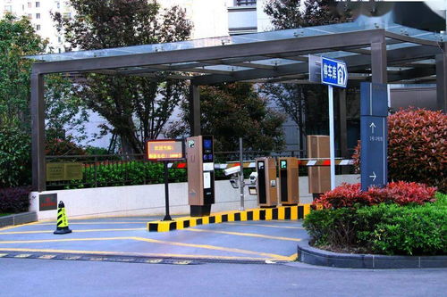 潍坊市停车服务收费新规解读 标准、变化与便民举措